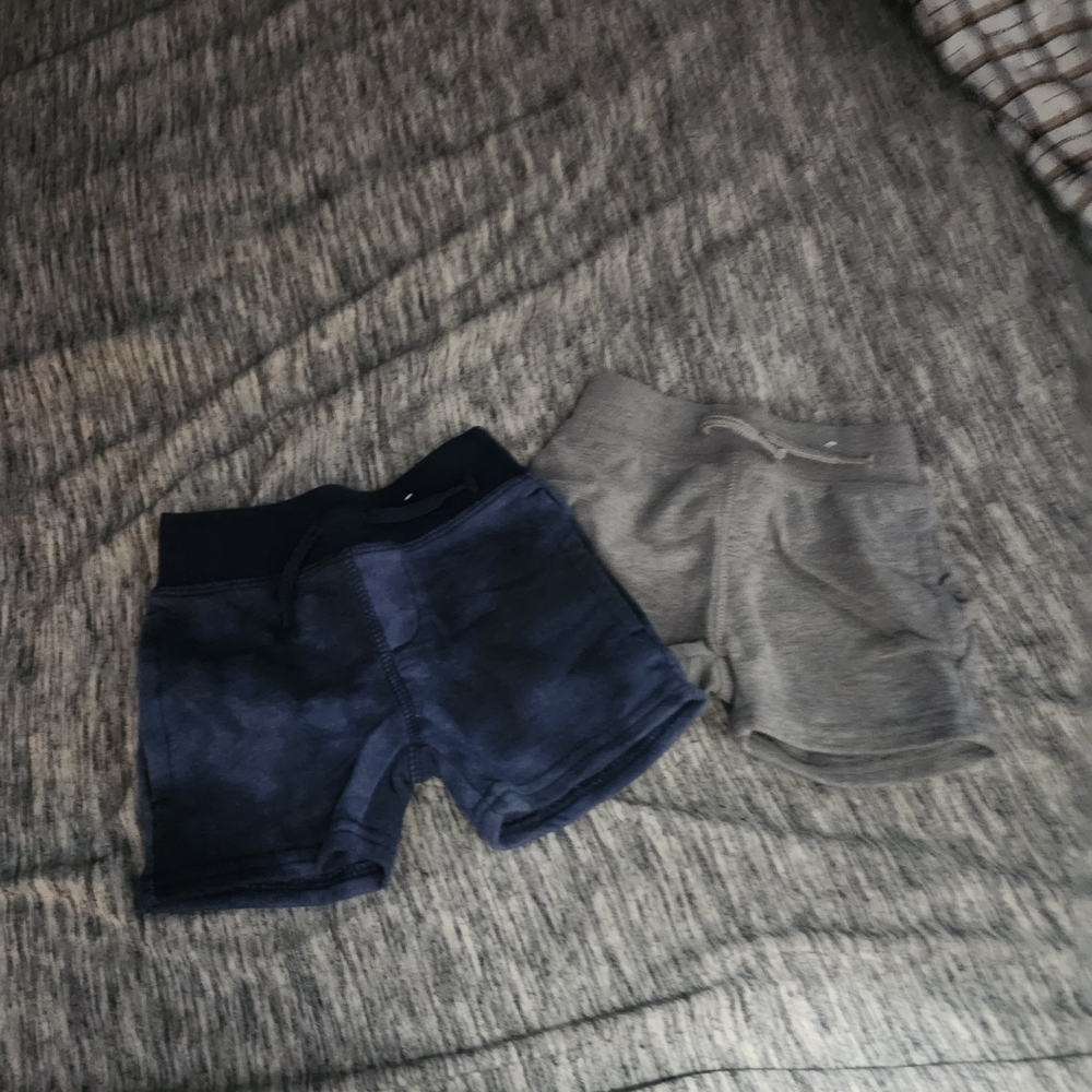 Garanimals Blue and Gray Kids Shorts Set